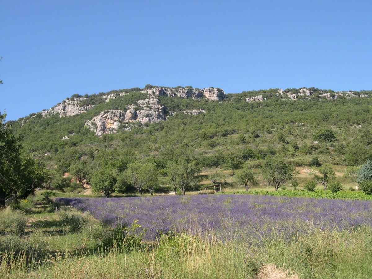 Domaine De Bois Joli Villa Buis-les-Baronnies Exterior foto